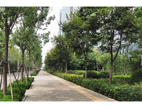 云南园林绿化工程项目信息