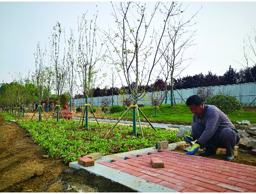 松原要干市政绿化工程需要什么条件