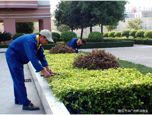 徐汇区品质绿化工程小窍门