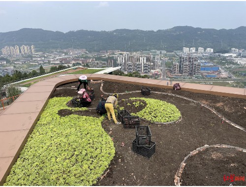 沂水县城市绿化规划