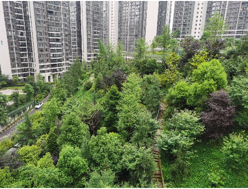 园林绿化工程施工场地平整